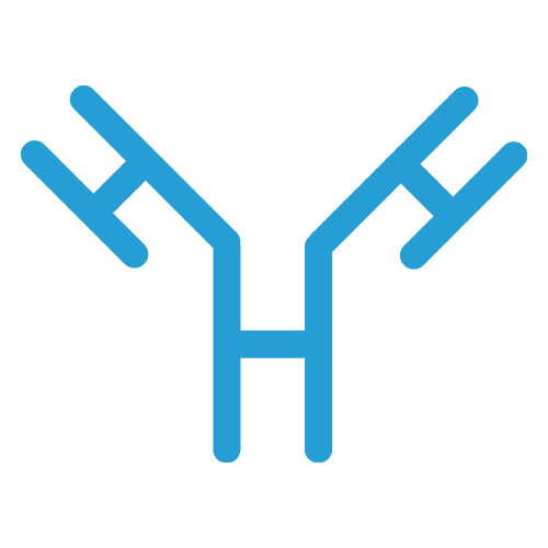 Small Scale Antibody Production