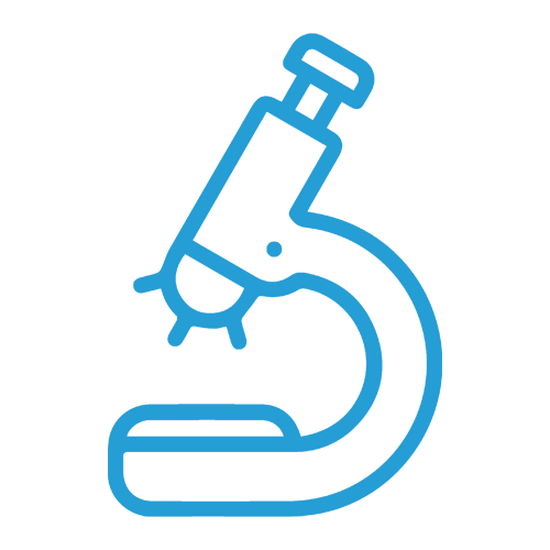 Antibody Engineering