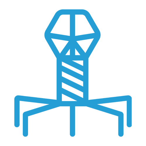 Phage Display Planning