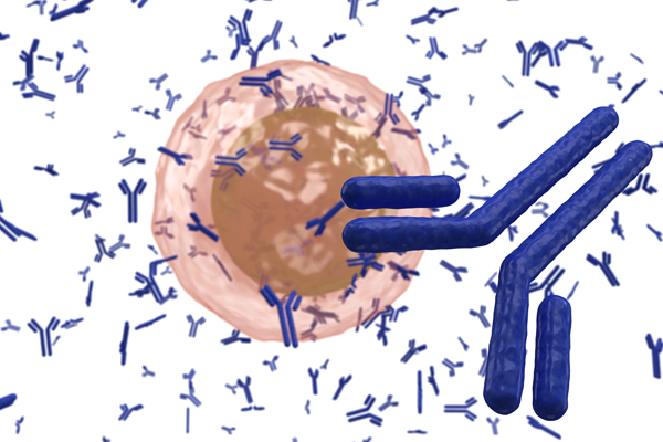 Phage Display Panning Using Recombinant Antibody Clones