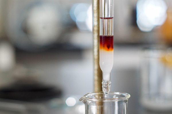 Small Scale Antibody Production Involving the Engineering of scFvs and VHHs